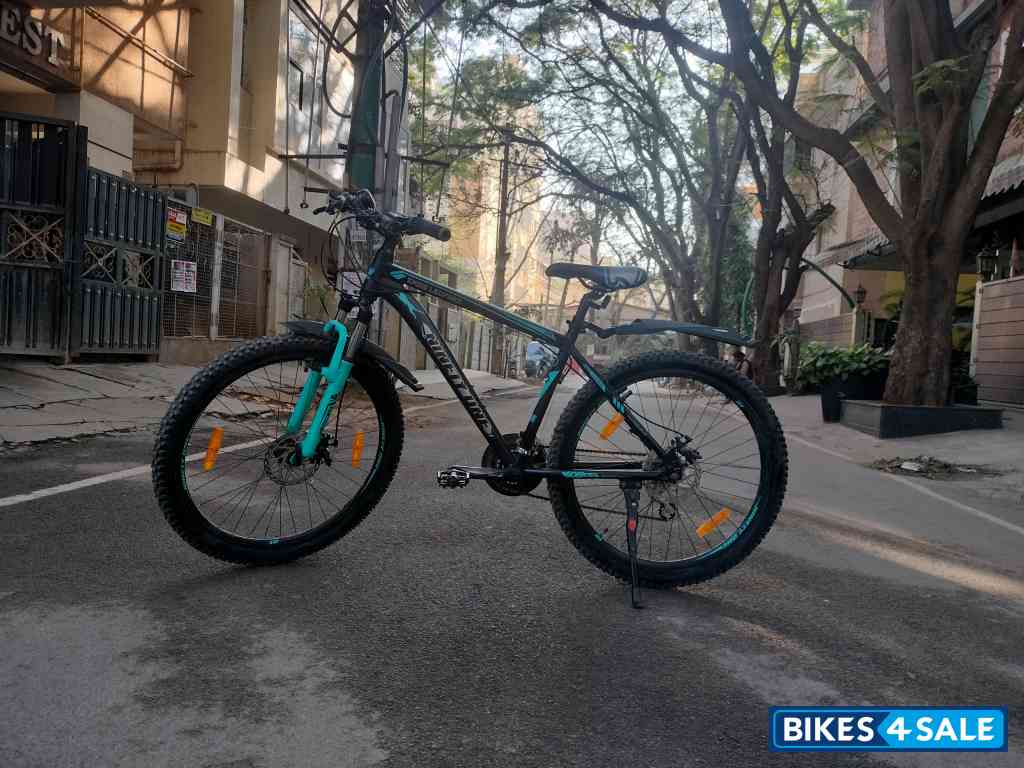 Ninety One  Snow leopard