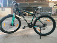 Ninety One  Snow leopard