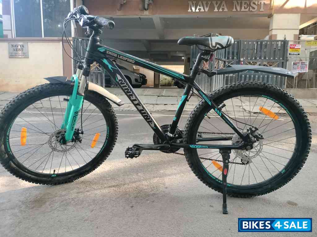 Ninety One  Snow leopard