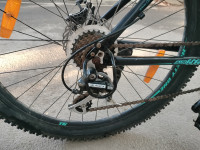 Ninety One  Snow leopard