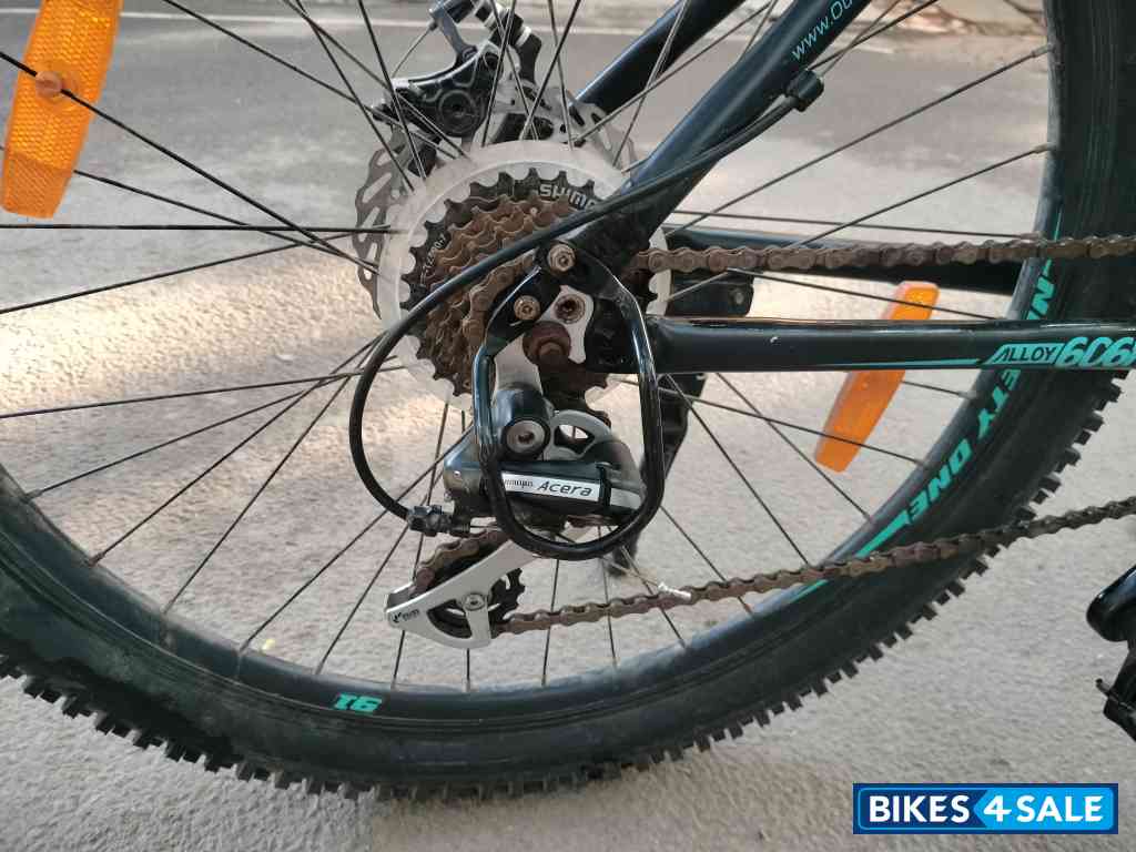 Ninety One  Snow leopard