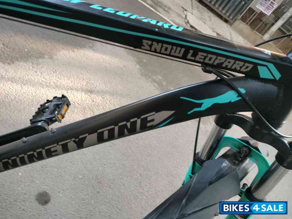 Ninety One  Snow leopard