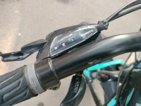 Ninety One  Snow leopard