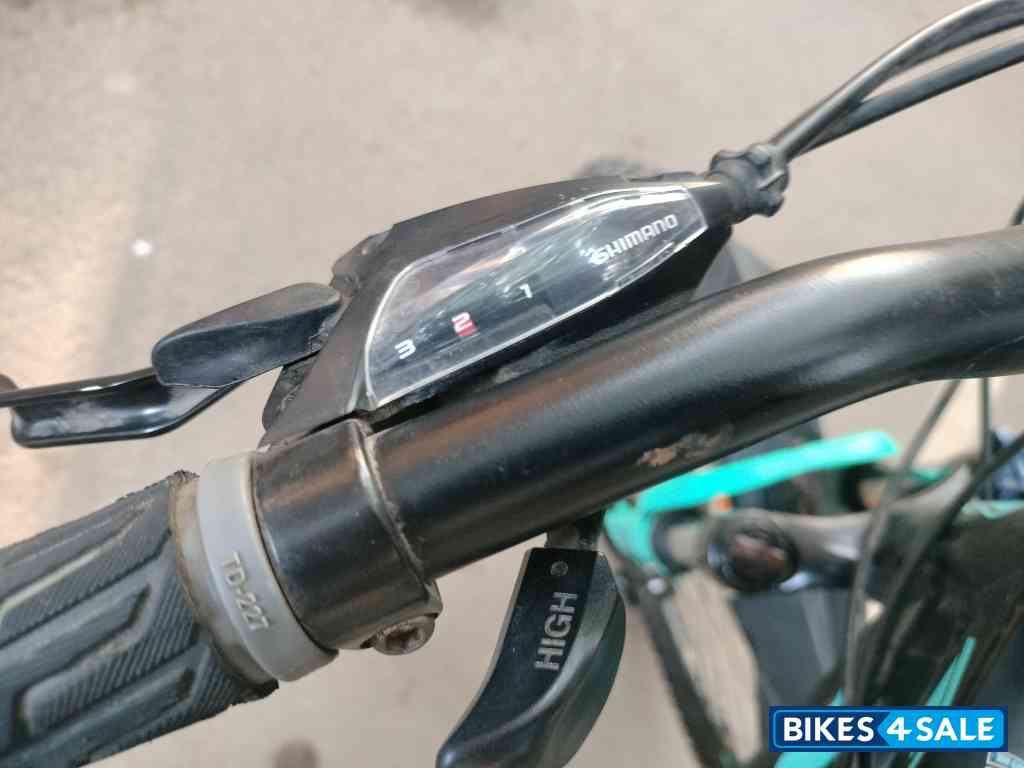 Ninety One  Snow leopard