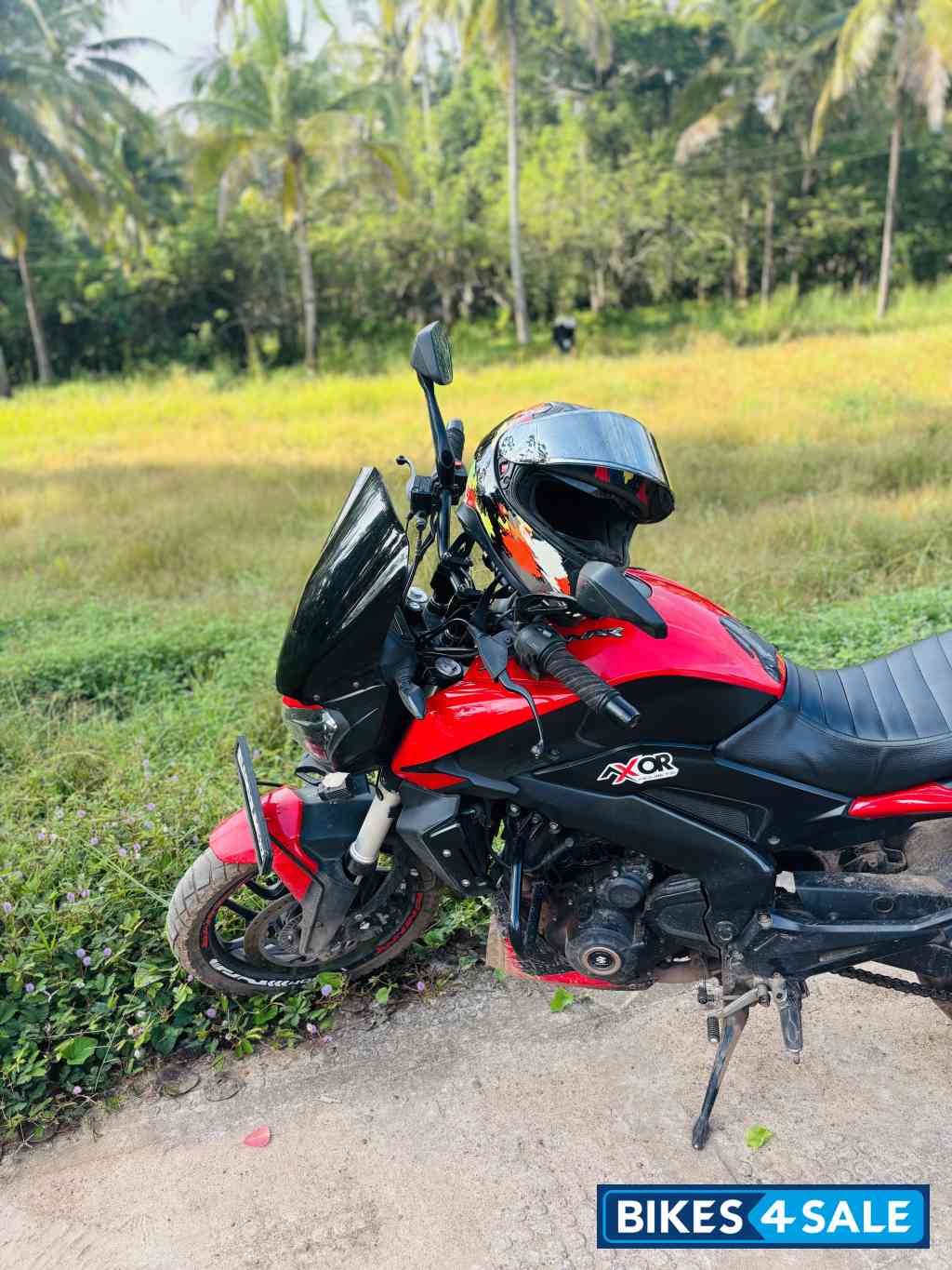 Canyon Red Bajaj Dominar 250