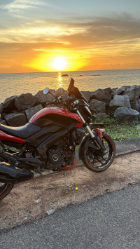 Canyon Red Bajaj Dominar 250