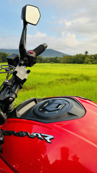 Canyon Red Bajaj Dominar 250