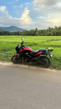 Canyon Red Bajaj Dominar 250