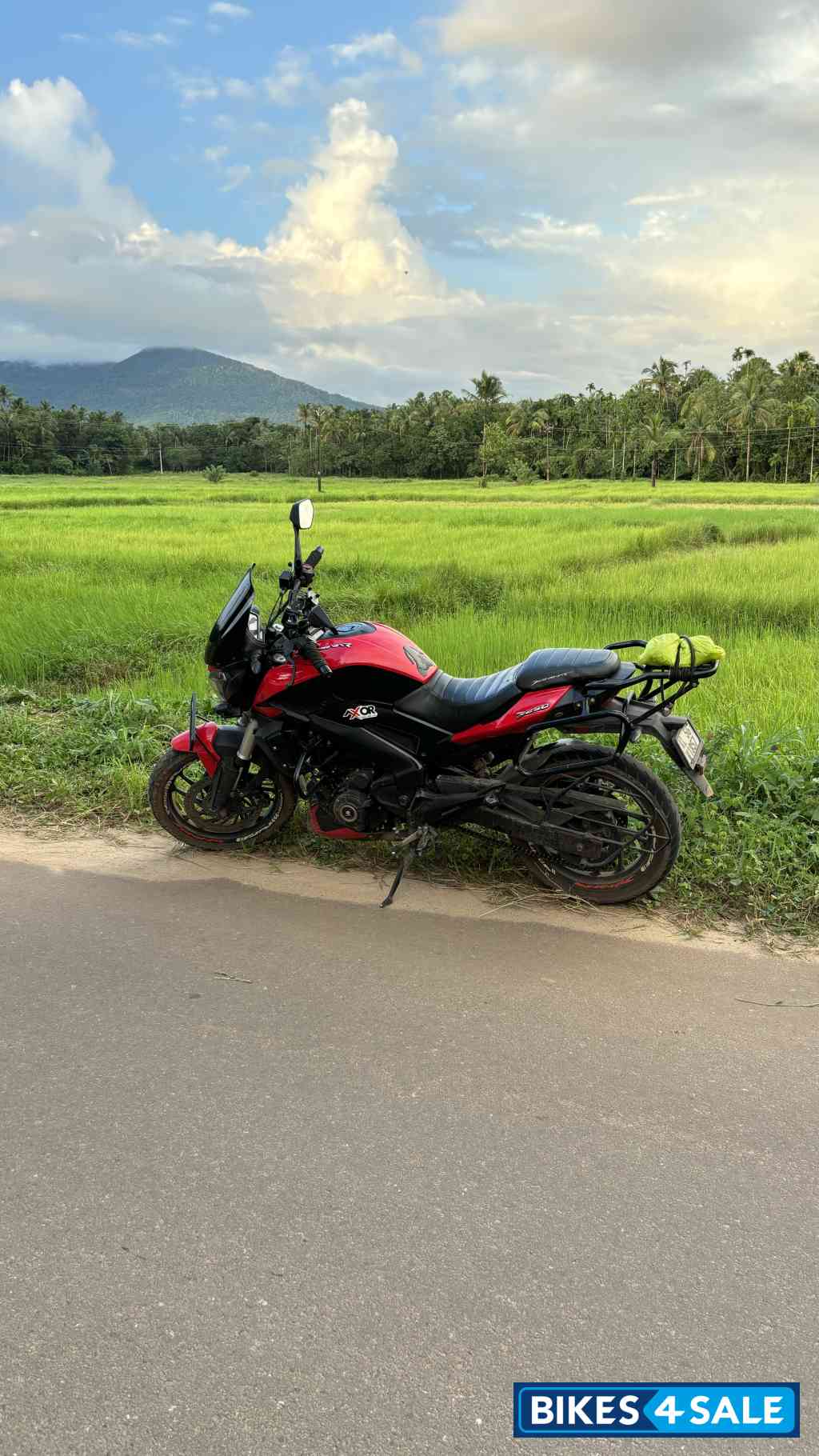 Canyon Red Bajaj Dominar 250