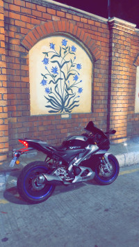 Yamaha R15M