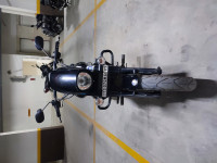 UM Renegade Sports S