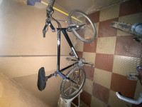 Bicycle  Rock Rider 2020 Model