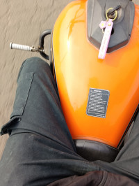 UM Renegade Sports S