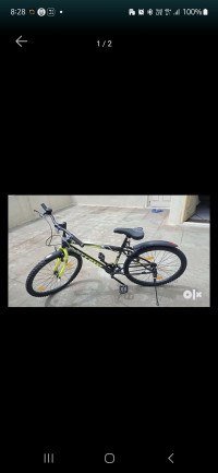 Bicycle  East Coast 2024 Model