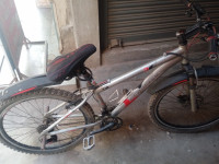 Bicycle Suncross 2024 Model