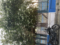 Royal Enfield Meteor 350 2021 Model