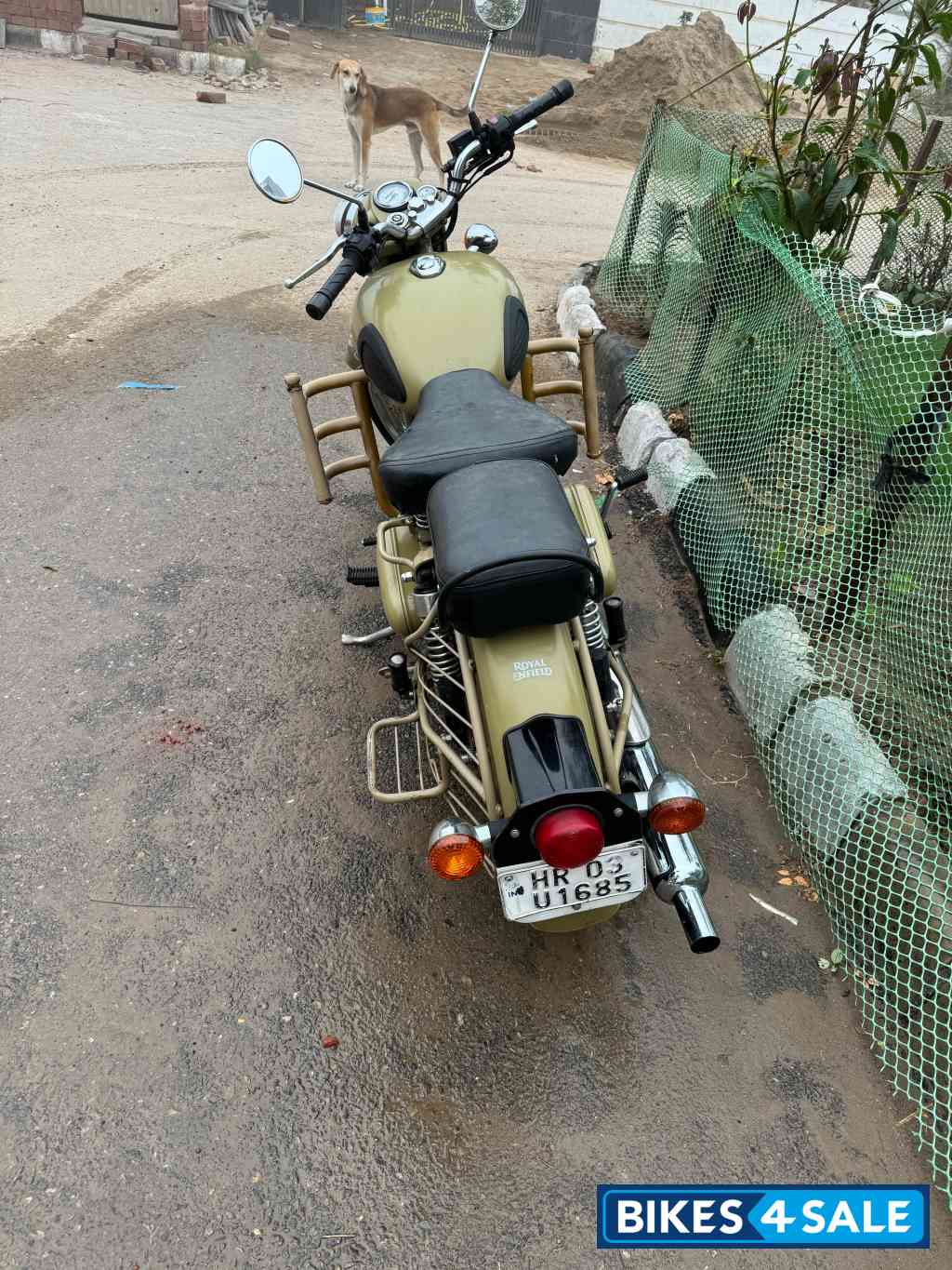 Desert Storm Royal Enfield Classic Desert Storm