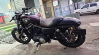 Black Harley Davidson Iron 883