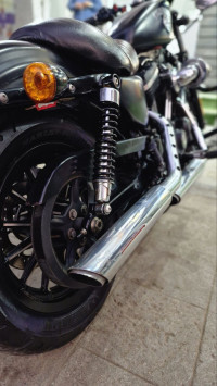 Black Harley Davidson Iron 883