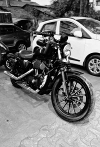 Black Harley Davidson Iron 883