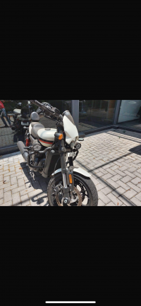 Harley Davidson Street Rod 2019 Model