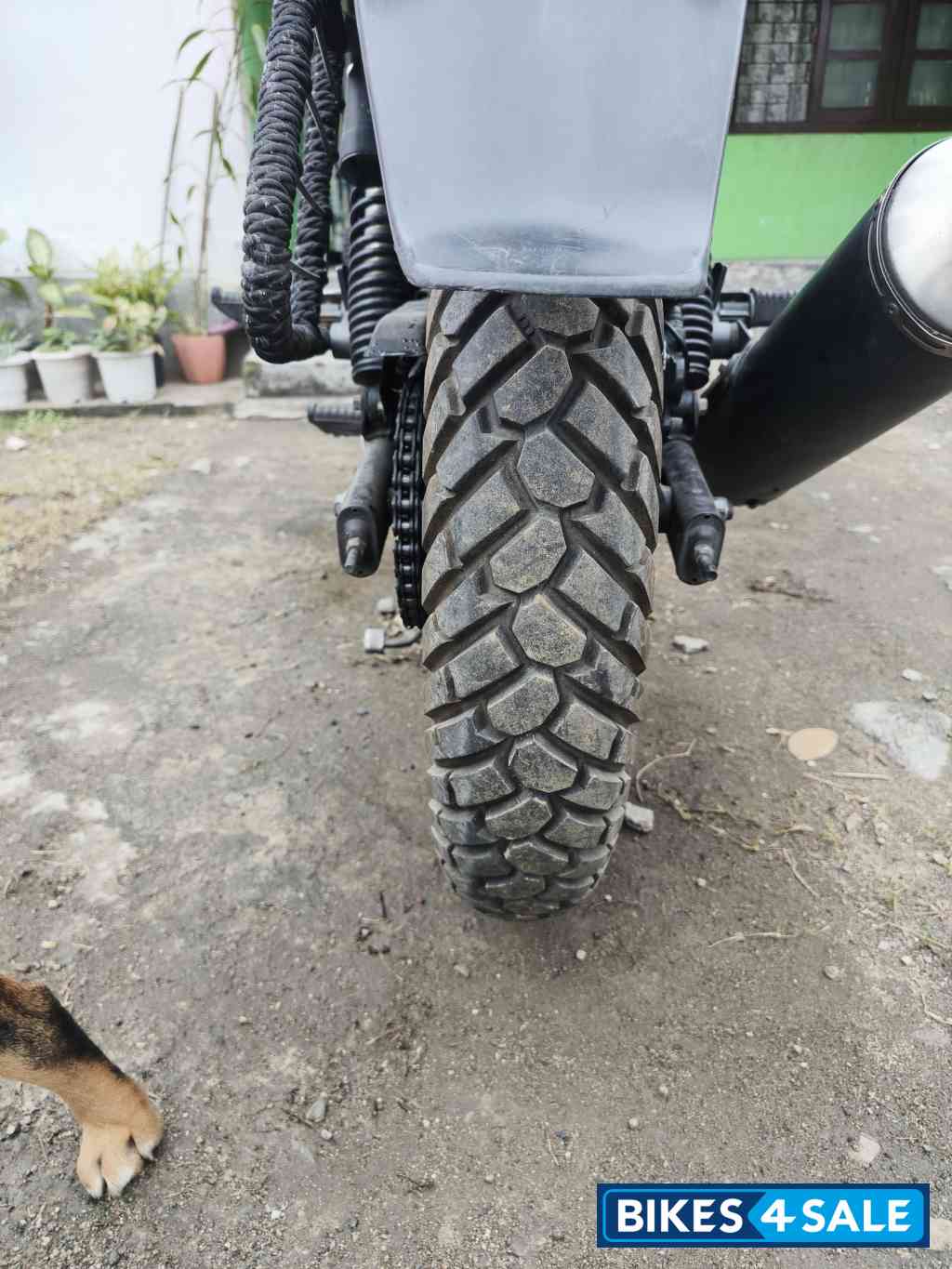 Black With Blue Bajaj Pulsar 220F BS6