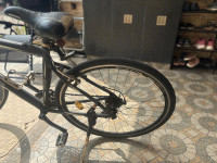 Black Bicycle Hercules