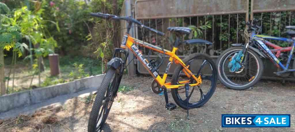 Orange Bicycle  Falcone