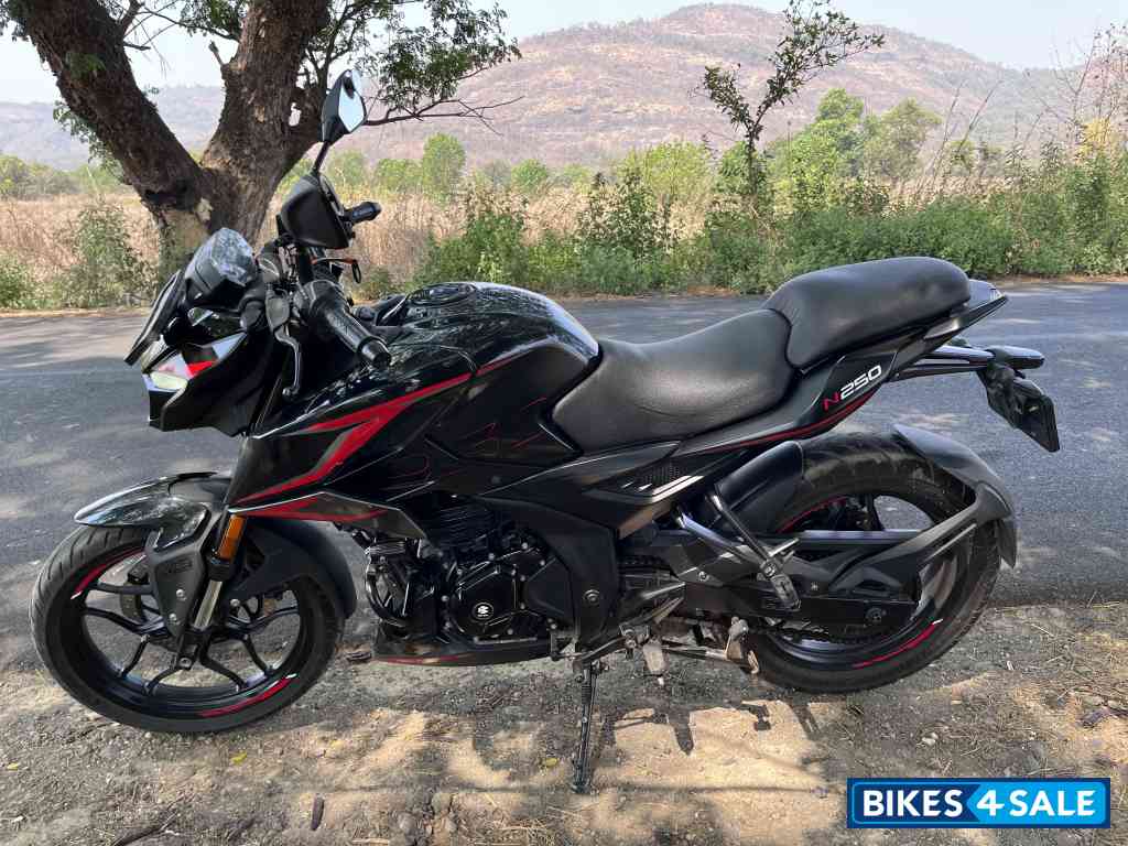 Bajaj Pulsar N250 2024