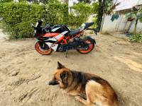 Ebony Black Orange KTM RC 390