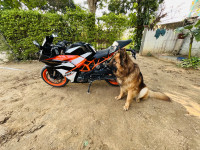 Ebony Black Orange KTM RC 390