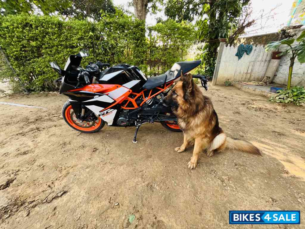 Ebony Black Orange KTM RC 390