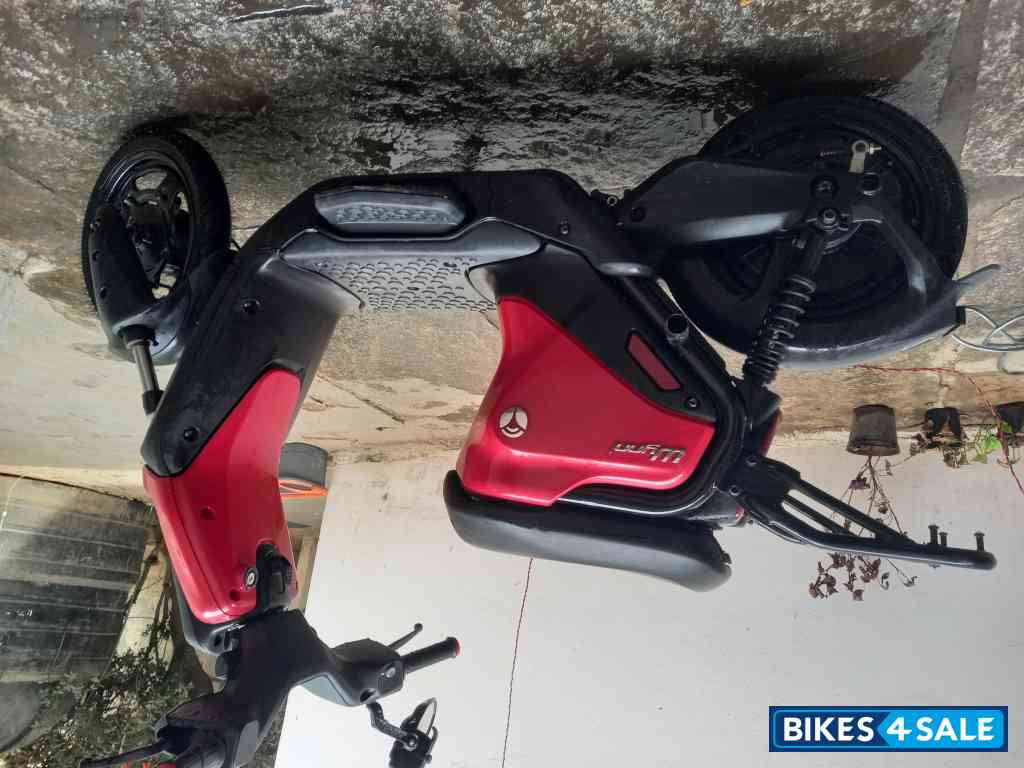 Yulu Wynn XP Yulu Wynn XP