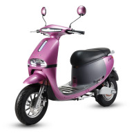 Jeevaa Cute 2025 Model