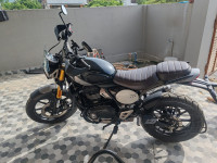 Triumph Scrambler 400 X 2024 Model