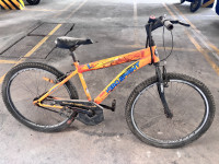 Bicycle Hero 2018 Model