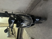 NSW Warrior 2019 Model