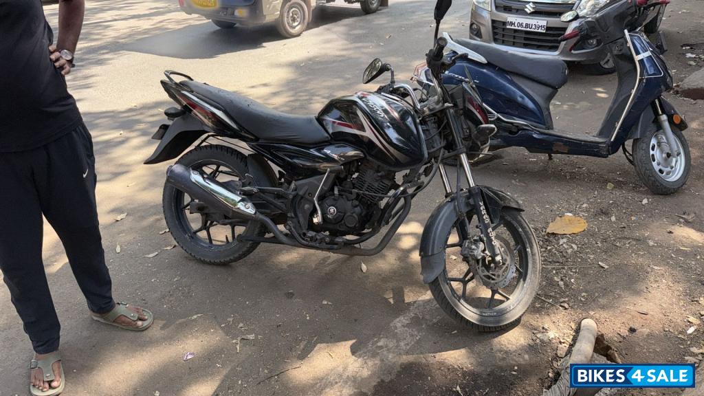 Brownie Bajaj Discover 150 S