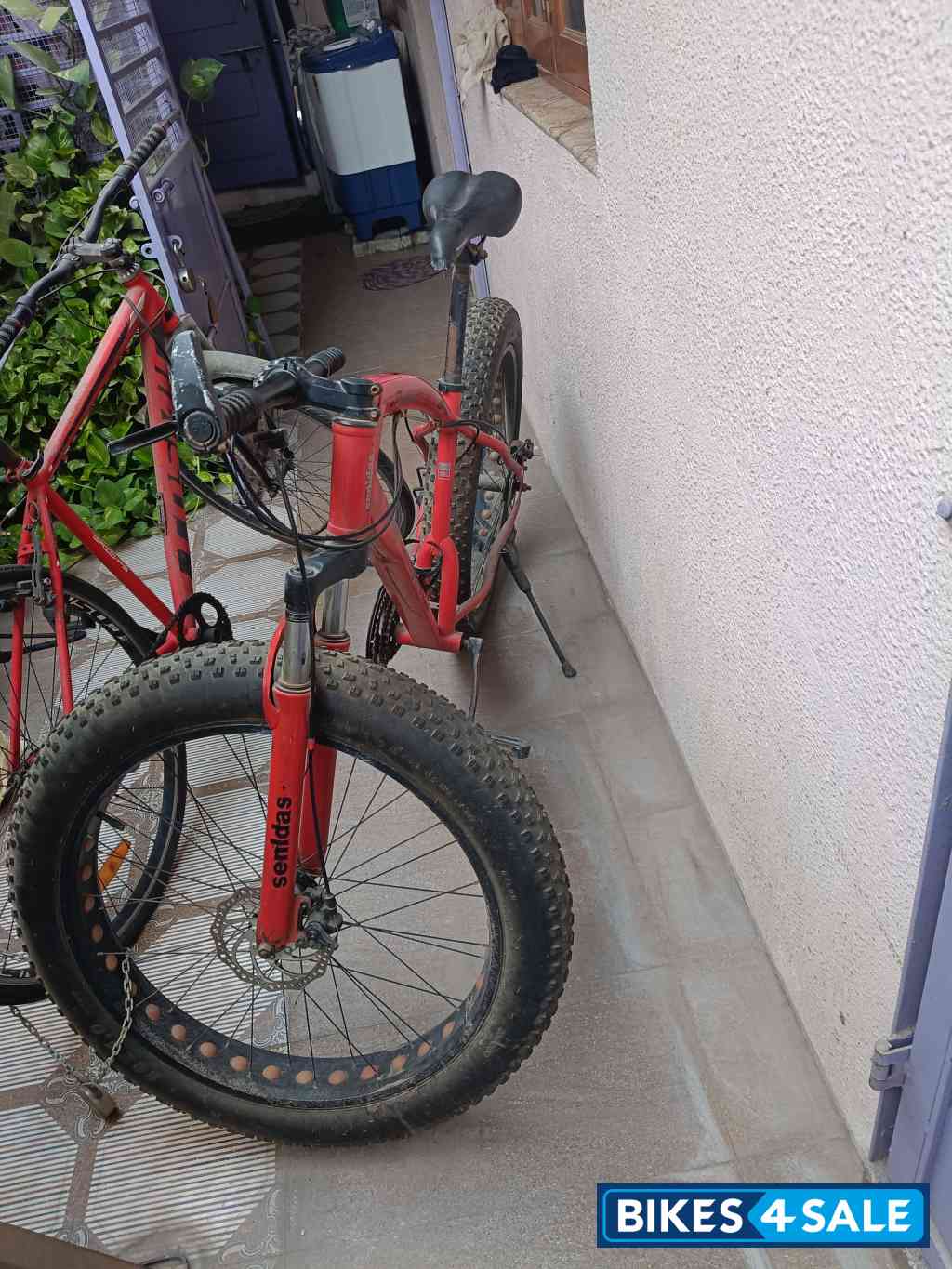 Senaldas bicycle fatty tyre