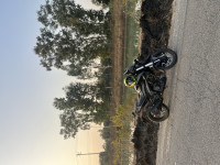 Black Bajaj Dominar 400 ABS BS6