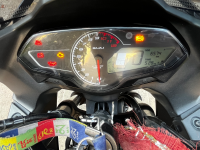 Bajaj Pulsar F250 Dual Channel ABS