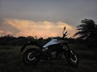 White And Black Husqvarna Vitpilen 250 2024
