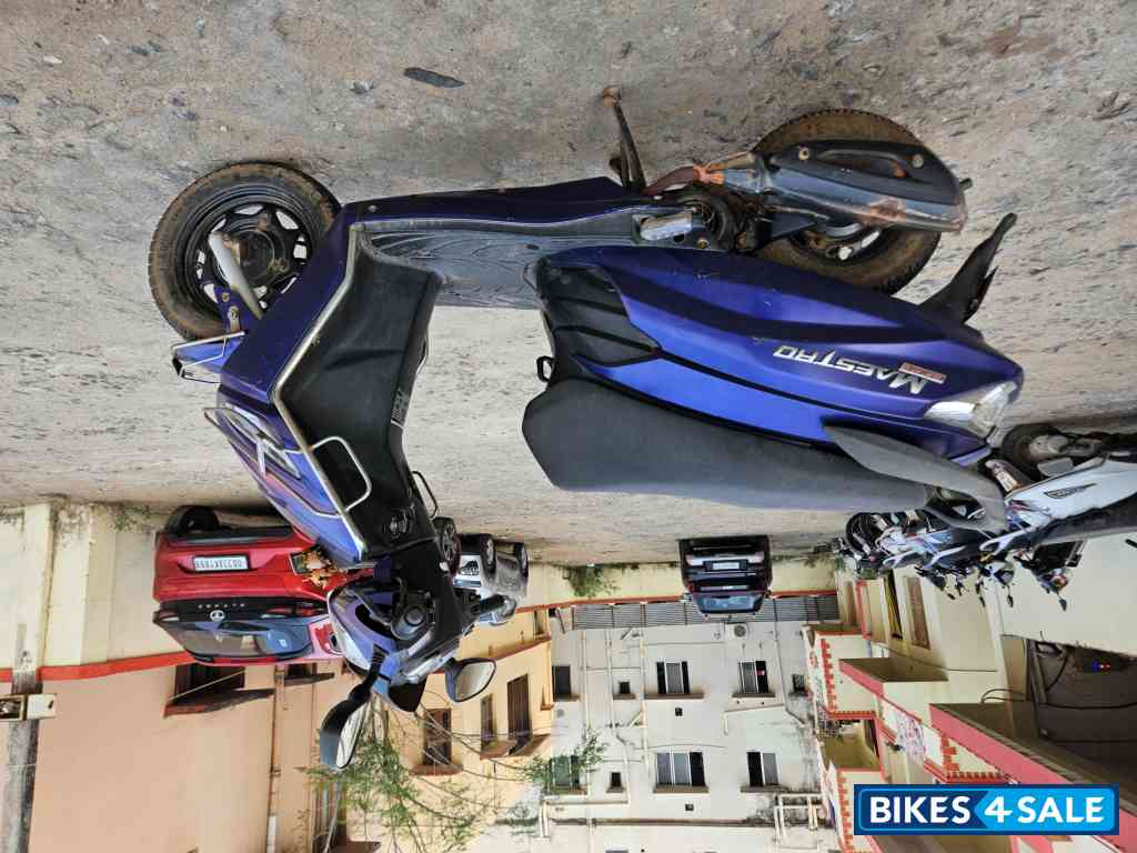 Blue Hero Maestro Edge