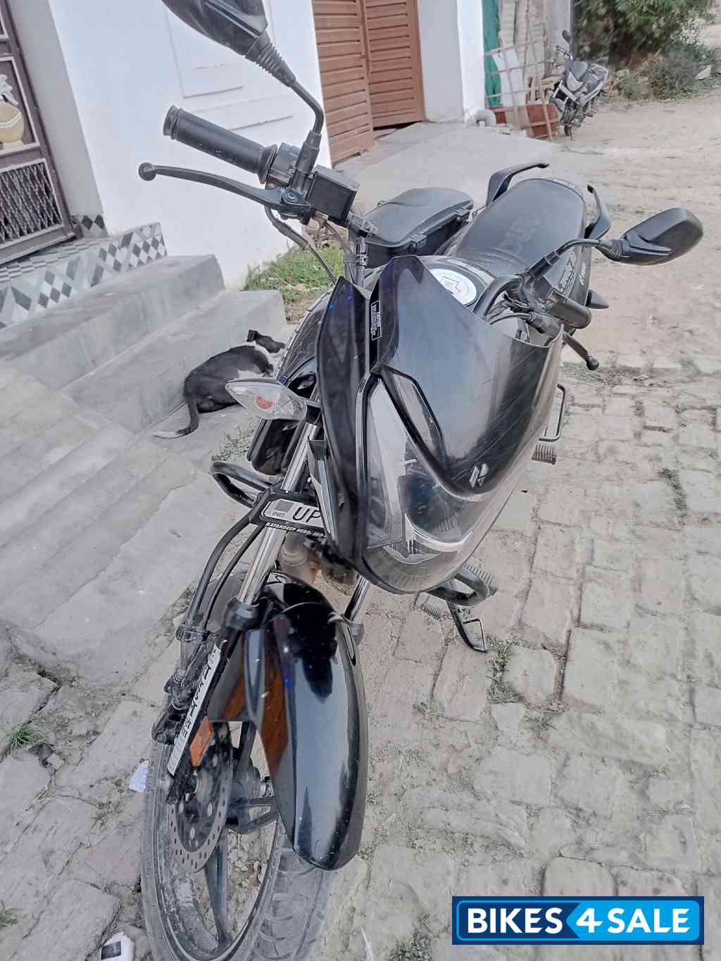 Black Hero Glamour Xtec