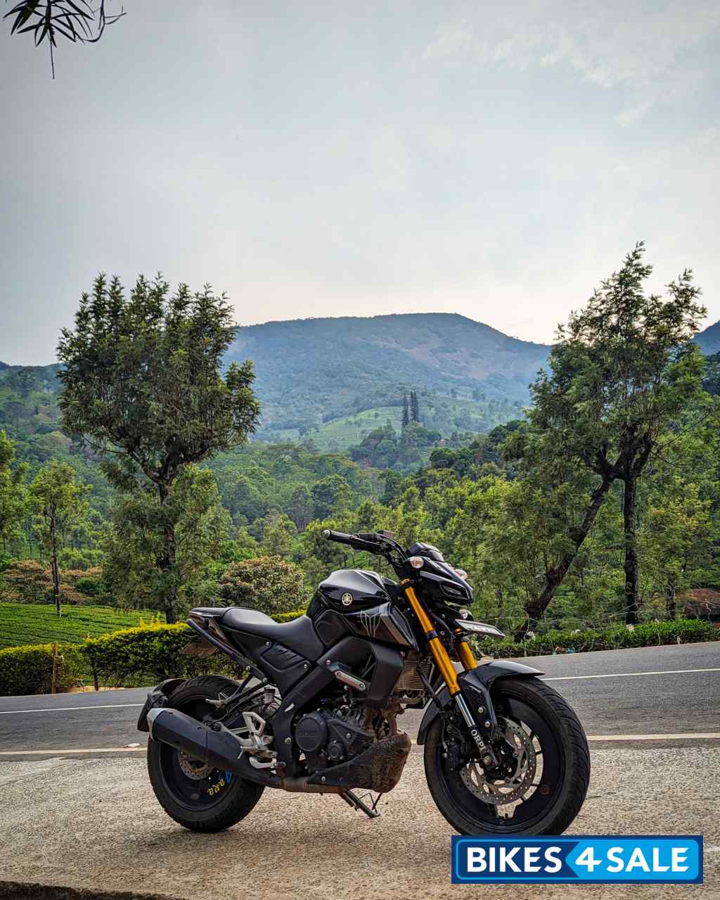 Balck Yamaha MT-15
