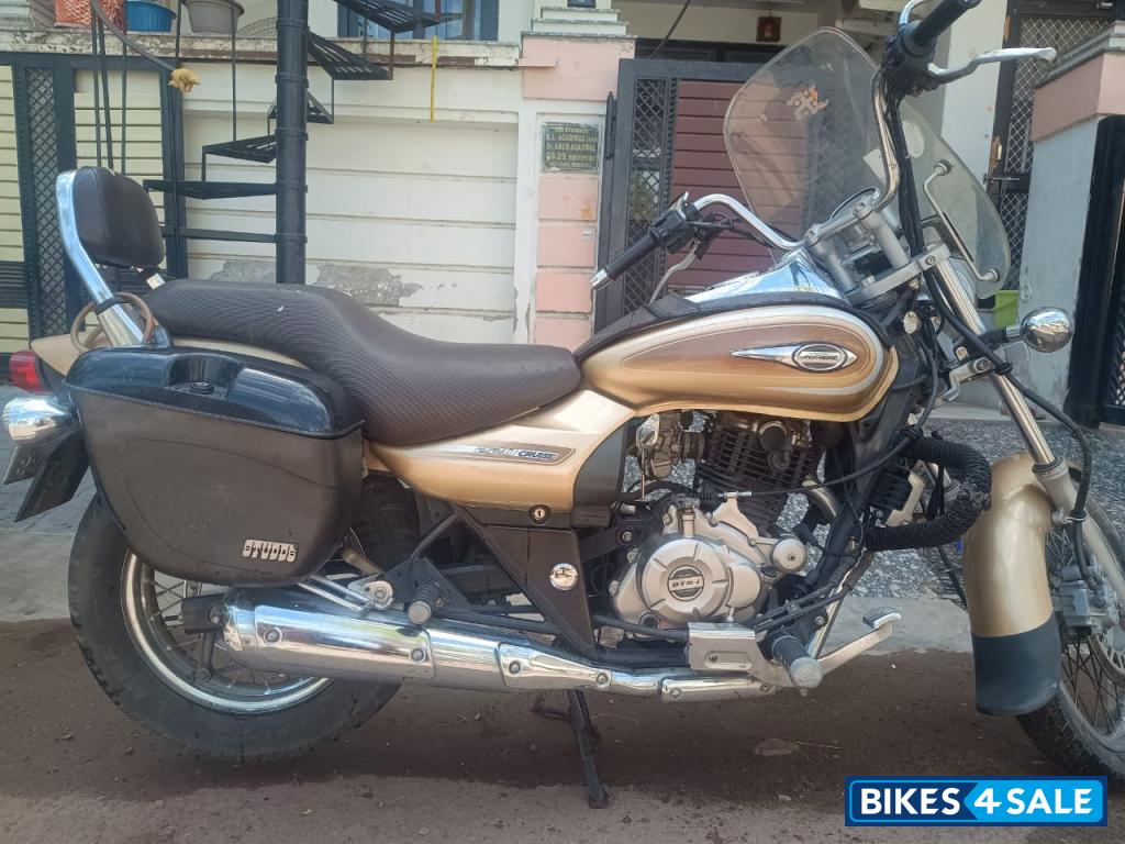 Golden Bajaj Avenger Cruise 220