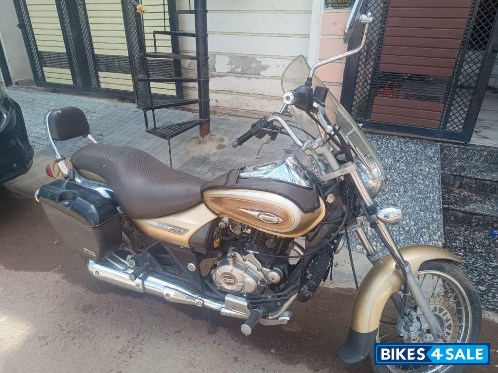 Golden Bajaj Avenger Cruise 220