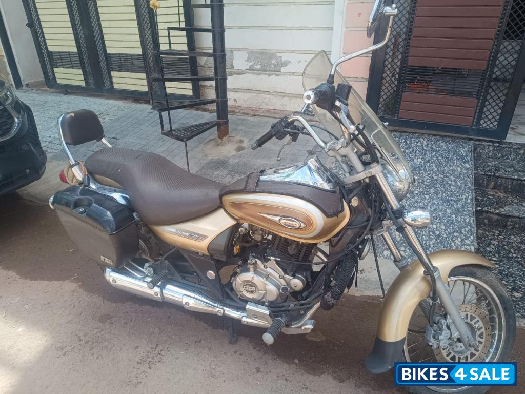 Golden Bajaj Avenger Cruise 220