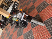 Matt Green Royal Enfield Meteor 350 Fireball