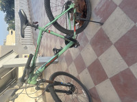 Bicycle  Cascade polygon 4